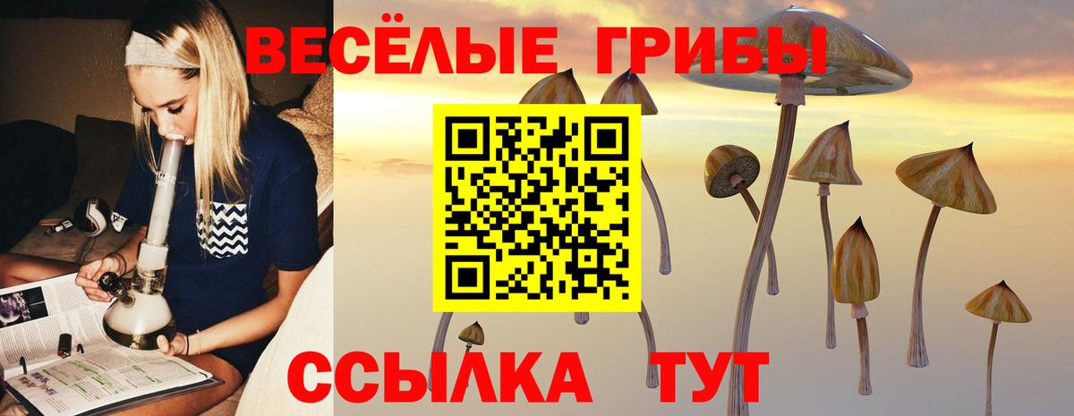 Осинники  Галлюциногенные грибы мухоморы  Вход с VPN 